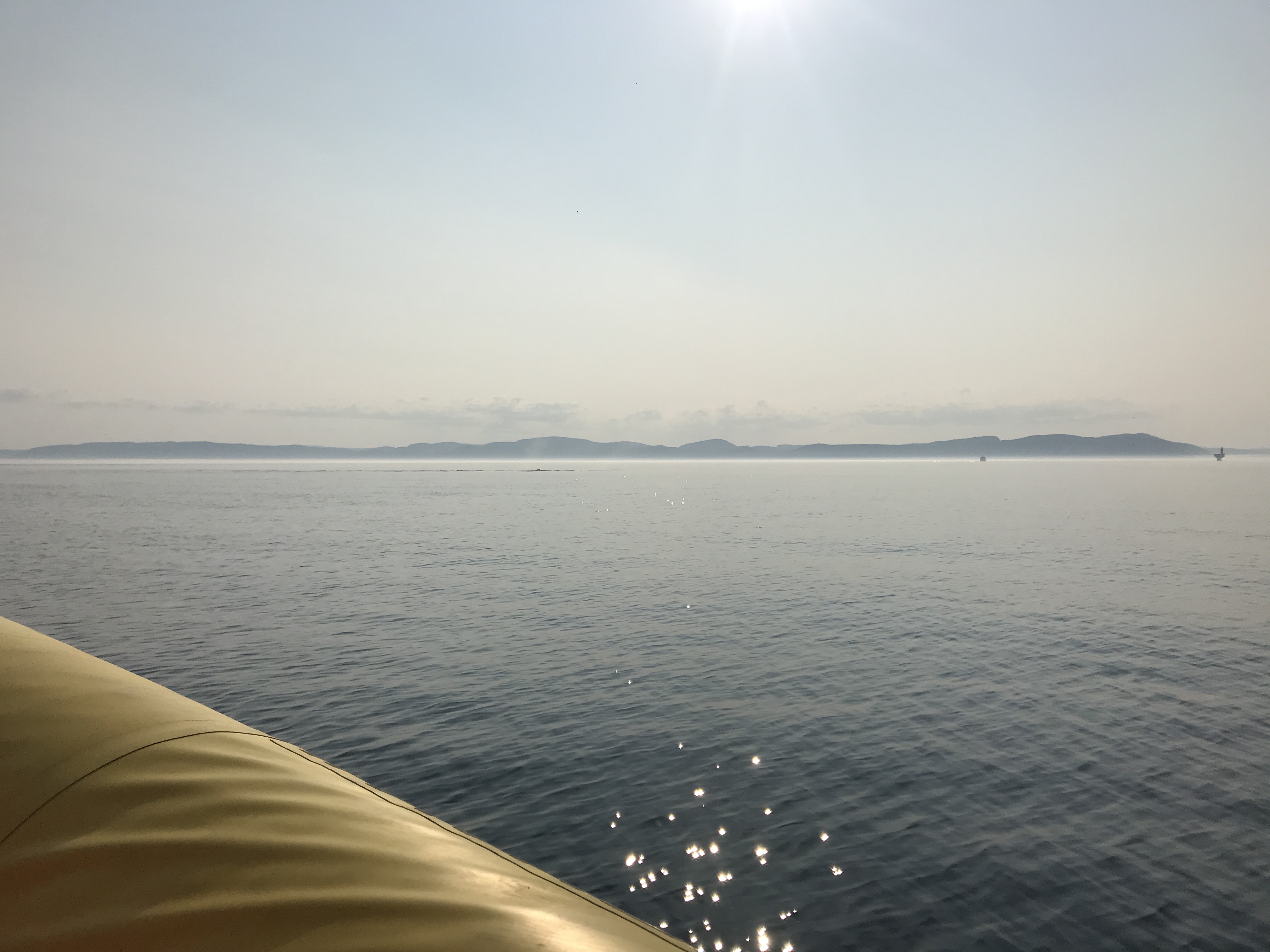 Photo 13-08-2018 17 10 45