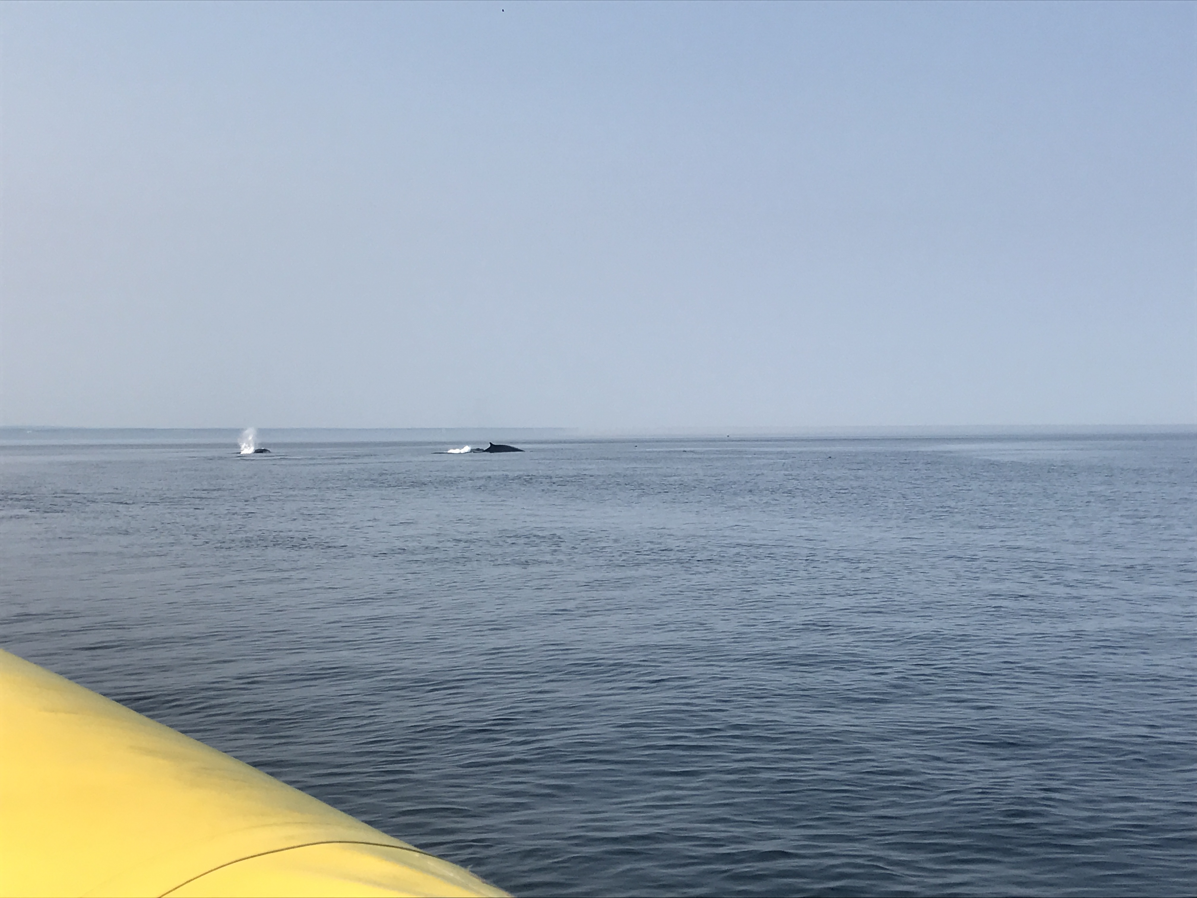 Photo 13-08-2018 17 14 13